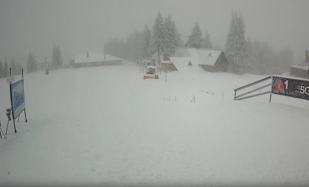 Първа сериозна снежна покривка в Пампорово - 15 см СНИМКИ