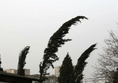 Силен вятър утре в страната, обявиха оранжев код за Пловдив