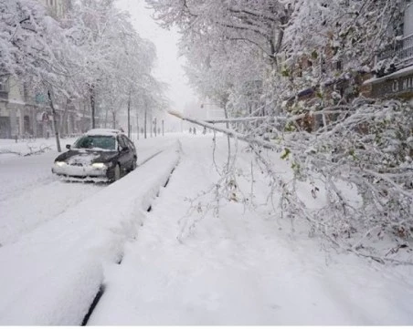 Населени места в Северозападна България все още имат проблеми с тока след снеговалежа