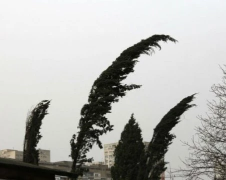 Силен вятър утре в страната, обявиха оранжев код за Пловдив