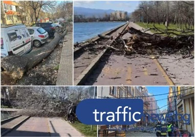 Силният вятър днес предизвика критична ситуация в Пловдив – огромни