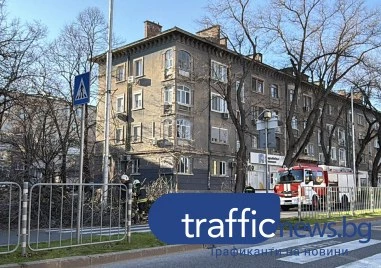 Заради силния вятър: Паднали клони по пловдивски булеварди, пожарната се намеси СНИМКИ