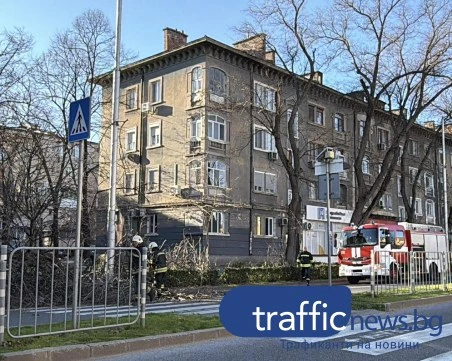 Заради силния вятър: Паднали клони по пловдивски булеварди, пожарната се намеси СНИМКИ