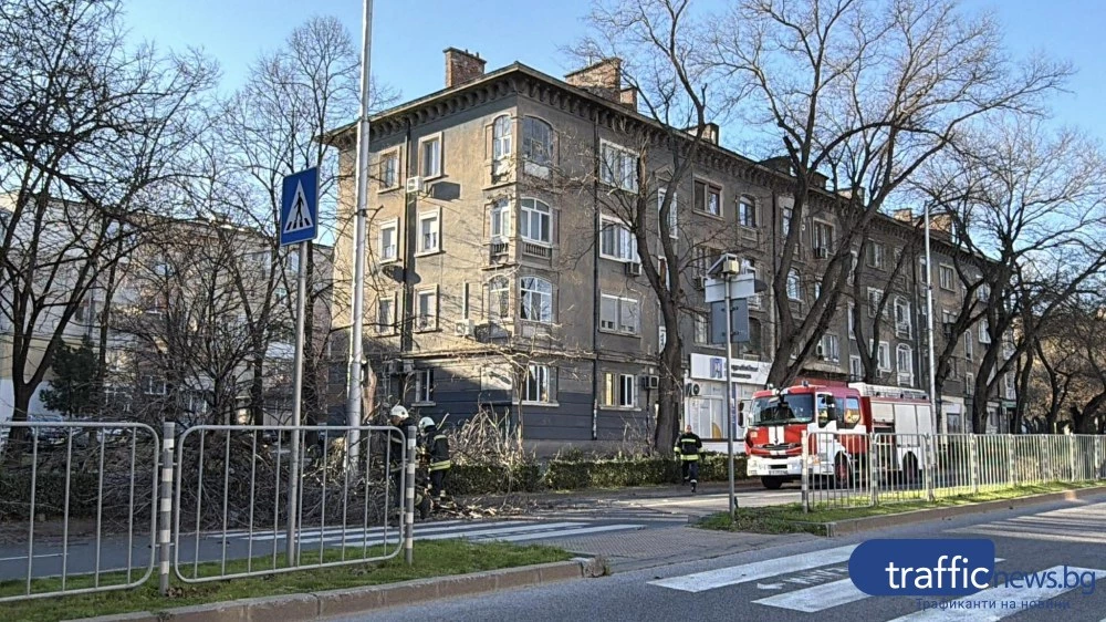 Заради силния вятър: Паднали клони по пловдивски булеварди, пожарната се намеси СНИМКИ