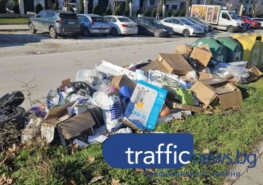 Улица в „най-зеления район на Пловдив отново е сметище, боклуците не са събирани от преди Коледа