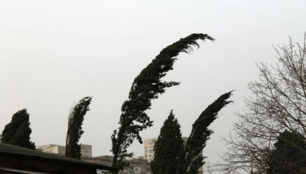 Жълт код за силен вятър в цялата страна и утре