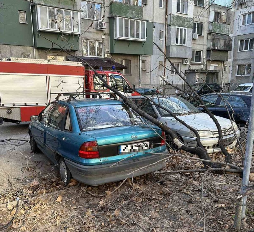 След бурния вятър в Пловдивско: 90 сигнала за паднали дървета