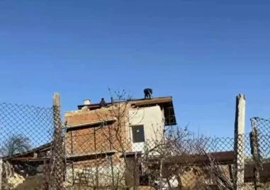 След ураганните ветрове които връхлетяха Пазарджишко щетите продължават да излизат