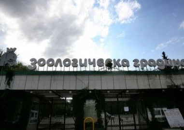 Достъпът на посетители до Зоологическа градина София ще бъде временно преустановен в периода от 1 до