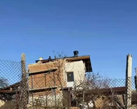 Семейство с две малки деца остана без покрив след угаранните ветрове в Пазарджишко