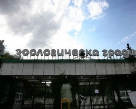 Затварят временно за посетители зоопарка в София