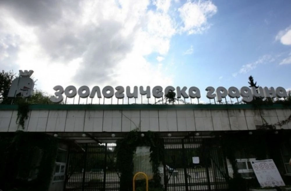 Затварят временно за посетители зоопарка в София