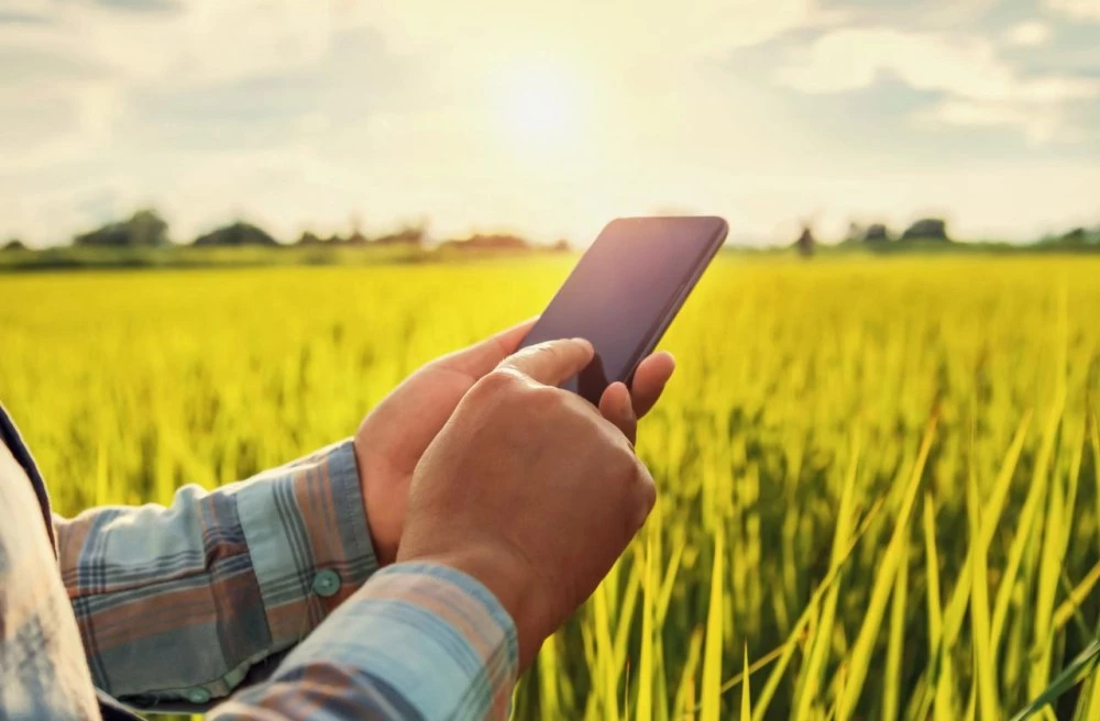 Две е-услуги, касаещи субсидии за фермерите, са недостъпни до 12 януари