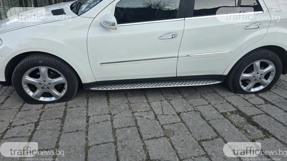 Още едно пловдивско село посрещна Нова година без ток, нарязаха гумите на кметицата СНИМКИ