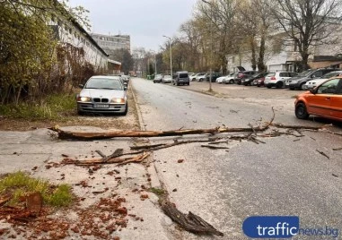През утрешния ден ще преобладава облачно време На повече места
