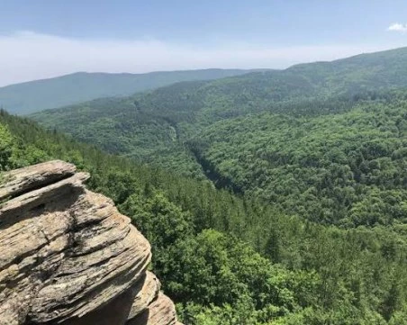 Момче падна от скала край Бойково, пожарникари го спасиха