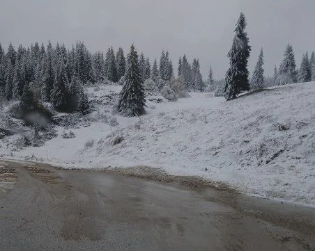 Температурна инверсия в Родопите: Студ и -11 градуса в ниското, по-топло във високите части