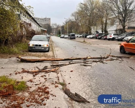 Жълт код за силен вятър утре в 14 области на страната