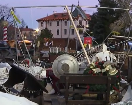 Над сто сигнала за щети и паднали дървета след ураганния вятър във Враца