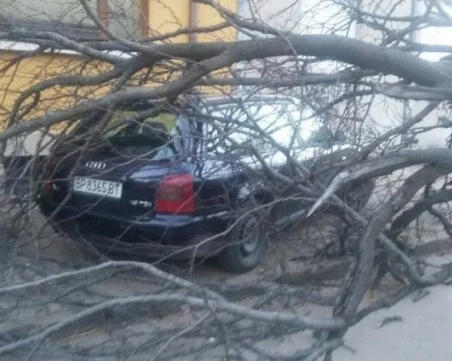 Ураганен вятър с пориви над 120 км/ч нанесе сериозни щети във Враца