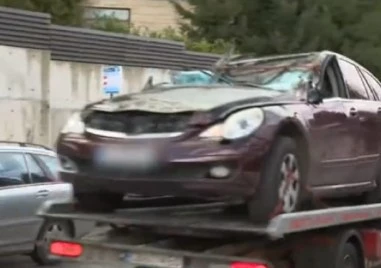 Продължава разследването за инцидента, при който дърво уби 31-годишна жена в София