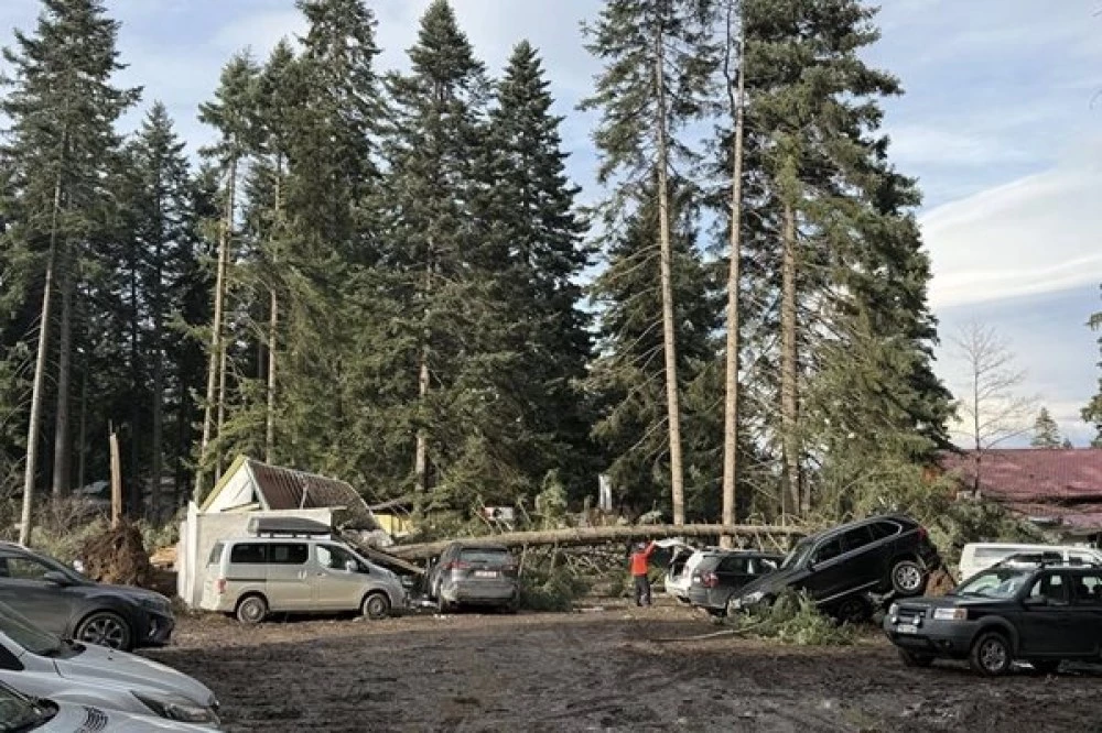 Ураганен вятър изкорени дървета в Боровец, задействаха BG-ALERT