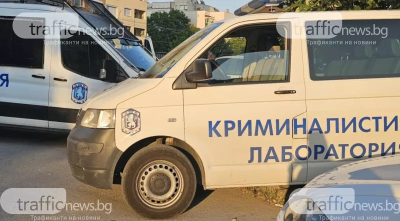 Мъж се простреля с пистолет в главата в Пловдивско