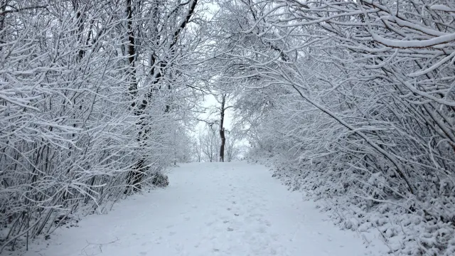 МВнР с предупреждение за тежката метеорологична обстановка в Сърбия