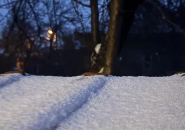 Интензивен сняг тази сутрин затрудни придвижването в София Прочетете ощеПрез