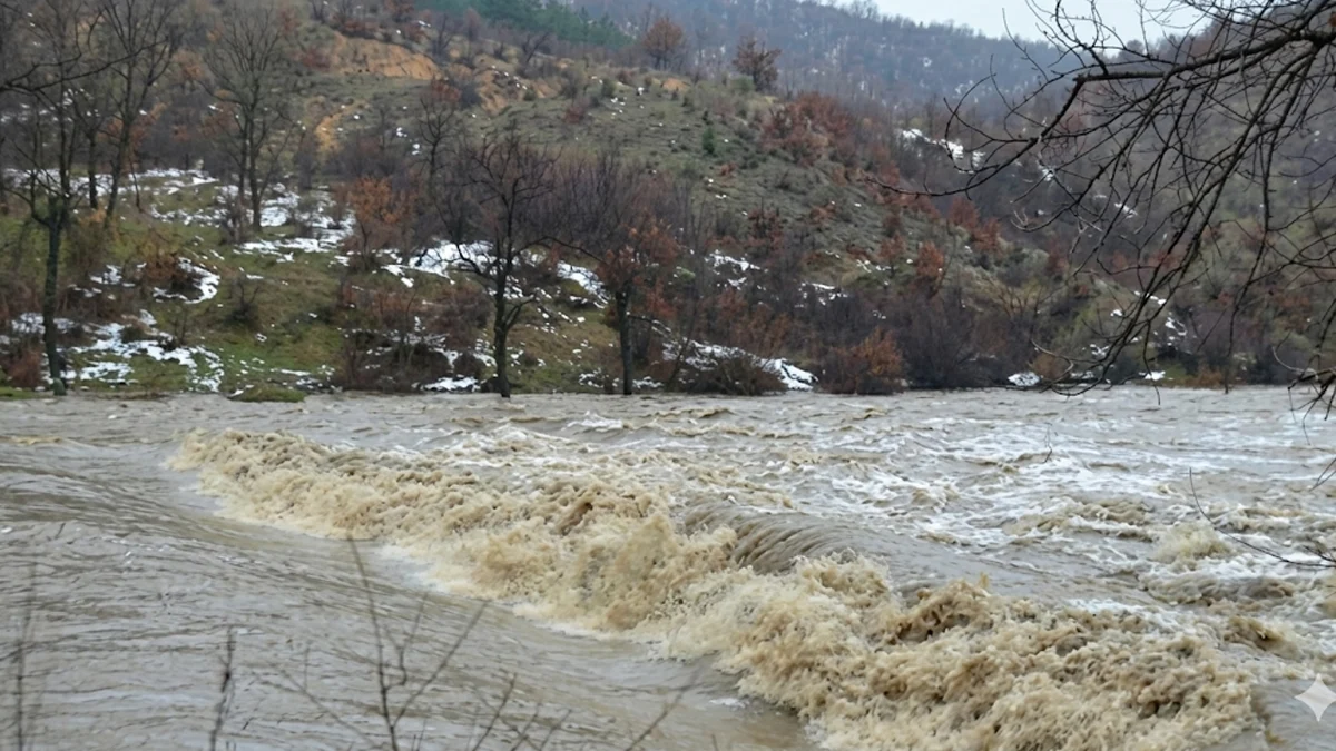 Спасиха баща и син от удавяне в Арда
