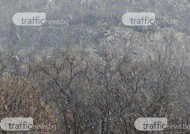 Първият сняг за сезона заваля в Пловдив Дъждът който валеше