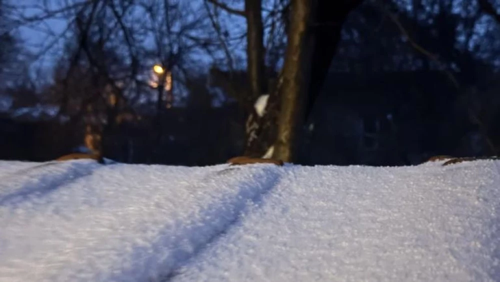 Сняг и поледици в София, затруднен ли е трафикът