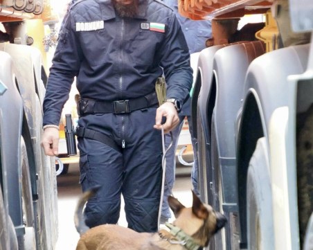 Куче на ГДБОП е първото у нас, обучено да открива фалшиви банкноти