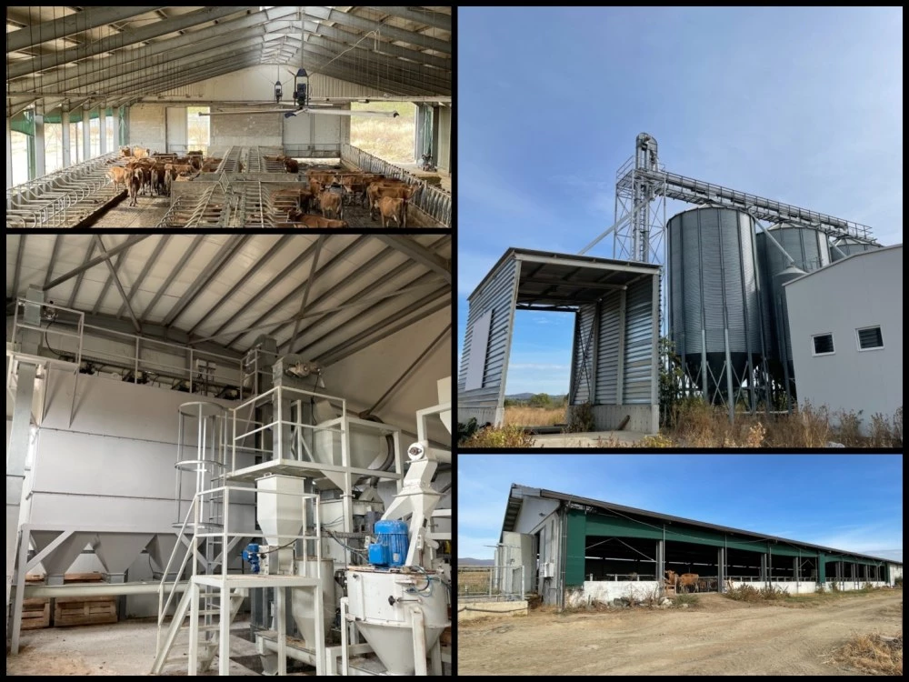 ЧСИ с нов опит да разпродаде имотите на бизнесдама от Хисаря