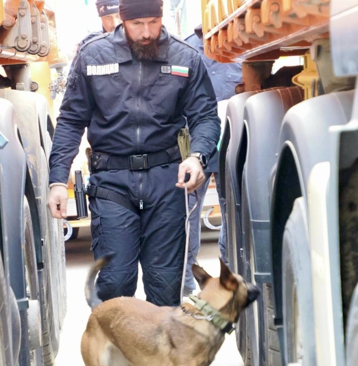 Куче на ГДБОП е първото у нас, обучено да открива фалшиви банкноти