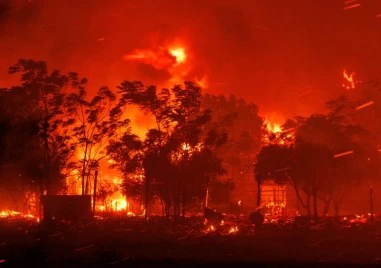 Горски пожари изпепелиха домове и оставиха десетки хиляди без ток в Австралия