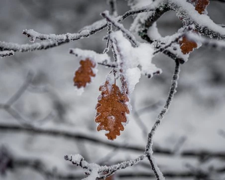 По-студено ще бъде утре, снеговалежът ще продължи