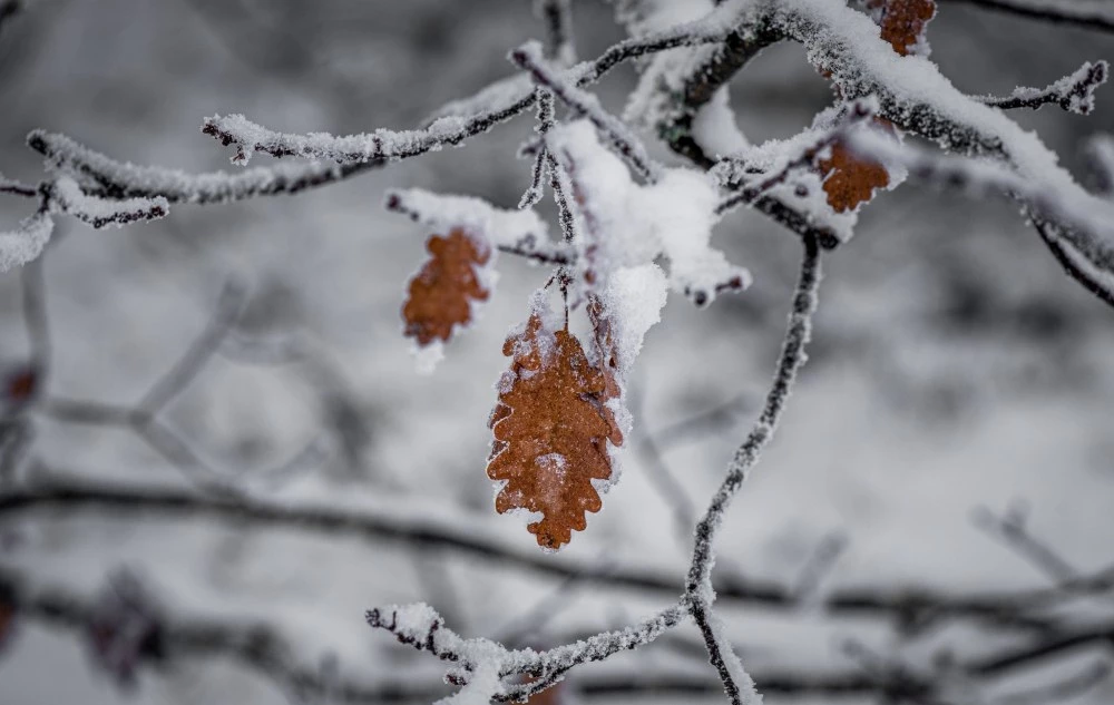 По-студено ще бъде утре, снеговалежът ще продължи