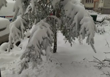 Екстремен студ сковава България: В Пирин температурите ще се усещат като минус 47°