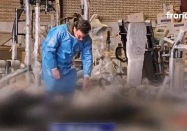 Правозащитната организация HRANA съобщава за 490 потвърдени смъртни случая сред