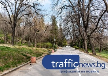 Вятърът в Пловдив стихва, температурите леко се повишават