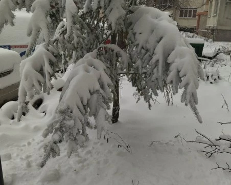 Екстремен студ сковава България: В Пирин температурите ще се усещат като минус 47°