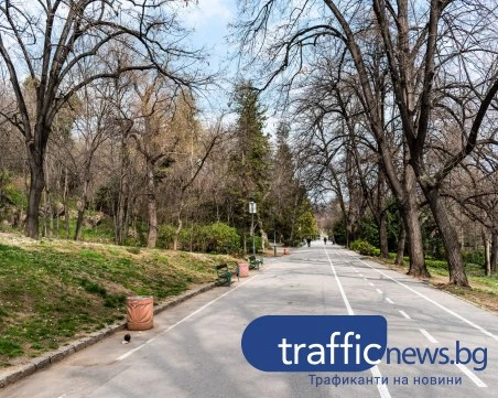 Вятърът в Пловдив стихва, температурите леко се повишават