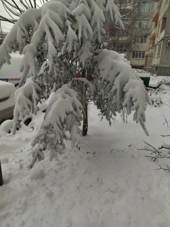 Екстремен студ сковава България: В Пирин температурите ще се усещат като минус 47°