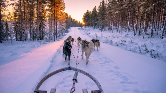 Тръмп: Отбраната на Гренландия е две кучешки шейни