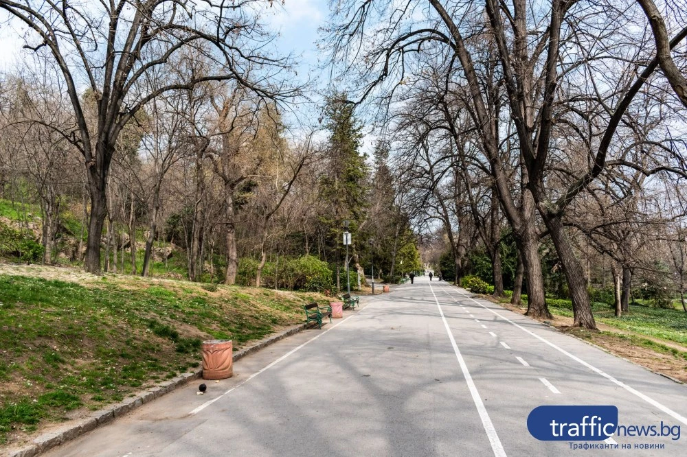 Вятърът в Пловдив стихва, температурите леко се повишават