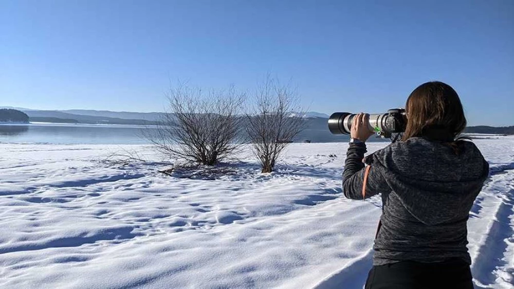 Започва 50-ото юбилейно преброяване на зимуващите водолюбиви птици у нас