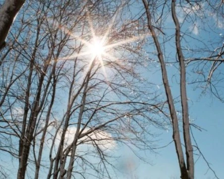 Януарско слънце ще пече през целия ден в Пловдив - градусите се покачват