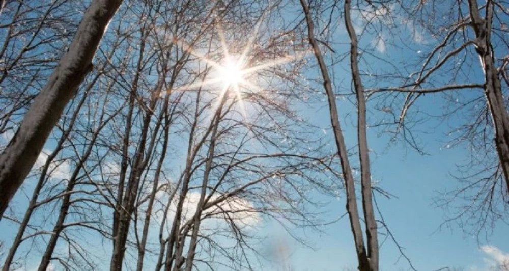 Януарско слънце ще пече през целия ден в Пловдив - градусите се покачват
