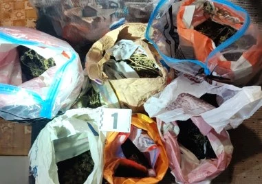 Спецакция срещу наркотици в Пловдив - задържани са четирима